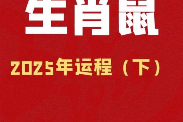 鼠年2025年运势及运程 鼠年2025年运势及运程