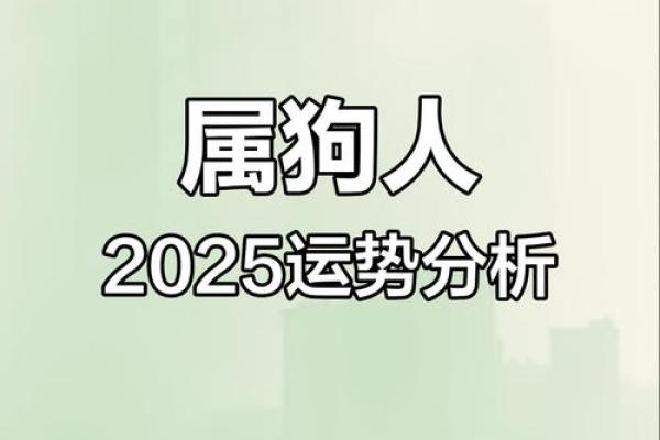 2025年属狗女1970年运势详解财运事业感情全解析