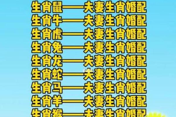 七星伴月指的是什么生肖 七星伴月指的是什么生肖