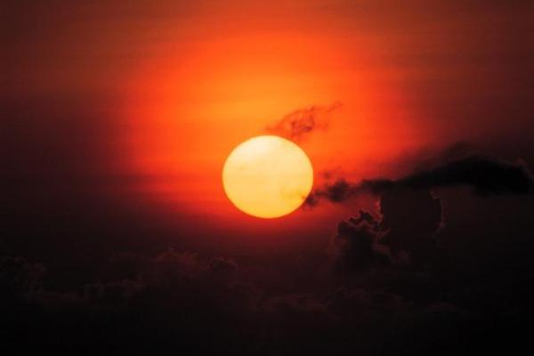 一轮红日找天边什么生肖 一轮红日找天边什么生肖