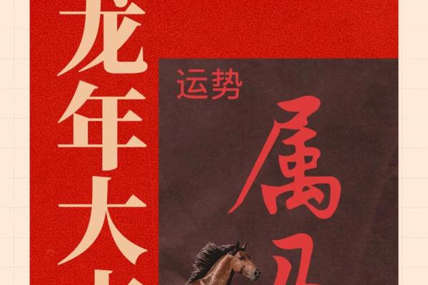 1978年属马女2024年每月运势及运程_2024年1978年属马女每月运势运程全解析