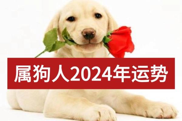 2006年属狗的命运_2006年属狗的命运今年运势 2006年属狗的命运_2006年属狗的命运今年运势