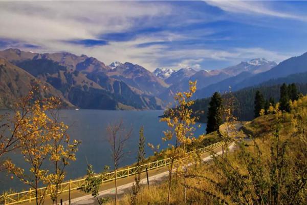 风光无限打一生肖