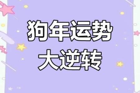 2025年属狗人高考运势_2023年属狗的高考运势