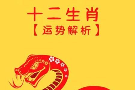2025属鼠人全年运势
