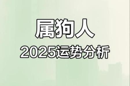 2025年属狗女1970年运势详解财运事业感情全解析