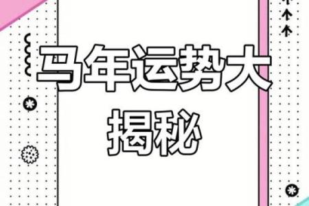 属马人明天的财运如何_属马明天财运如何