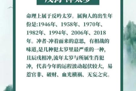 1982年属狗在2026年全年运程_1982年属狗2026年全年运势详解及运程预测