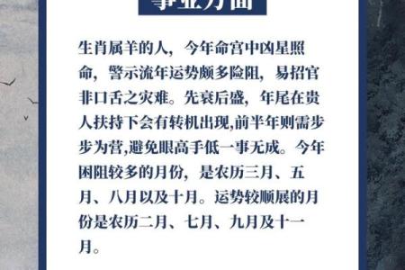 1991年羊2025年运势_1991年羊男2025年运势