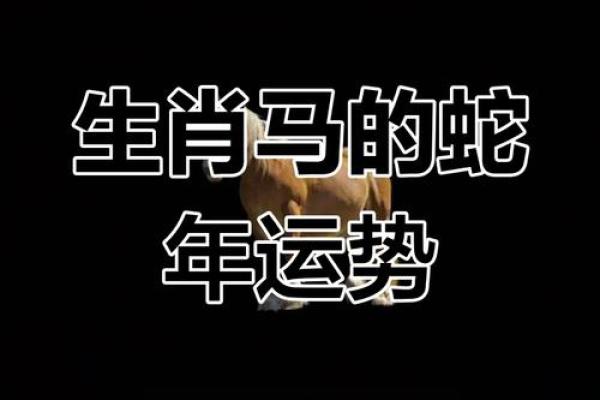 1978年属马2025运势完整版 1978年的马在2025年的运势怎么样