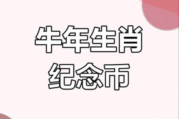 2009年是什么生肖年 2009年是什么生肖年