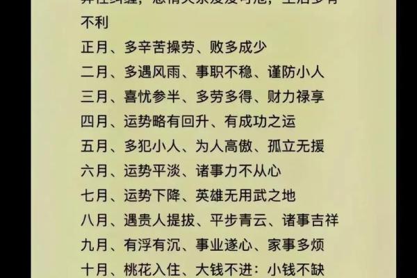 2025年属马人运势全解析机遇挑战与命运转折点