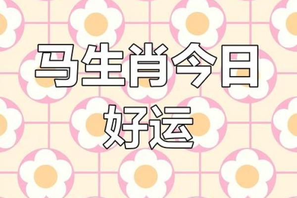 属马人运程 2024属马人运程详解事业财运健康运势全预测 属马人运程 2024属马人运程详解事业财运健康运势全预测