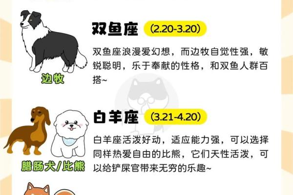 1970年属狗什么星座_1970年属狗是什么座 1970年属狗什么星座_1970年属狗是什么座