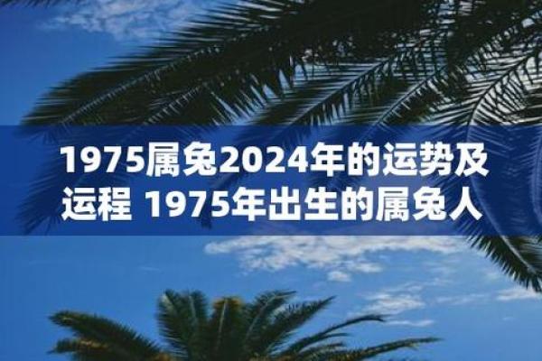 1975兔人2025年全年运程怎样 1975年兔人2025年全年运程详解及运势预测 1975兔人2025年全年运程怎样 1975年兔人2025年全年运程详解及运势预测