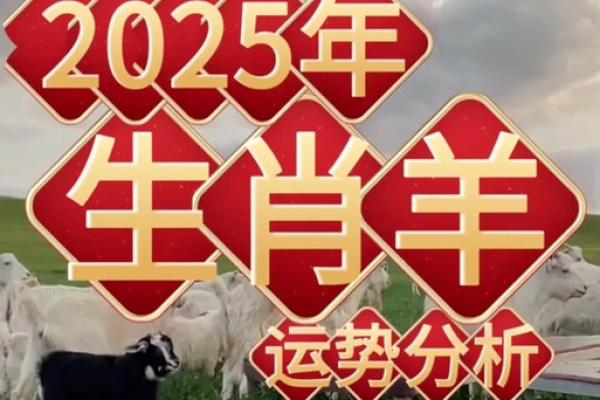 属羊的2025 2025年属羊人运势解析财运事业爱情全攻略 属羊的2025 2025年属羊人运势解析财运事业爱情全攻略