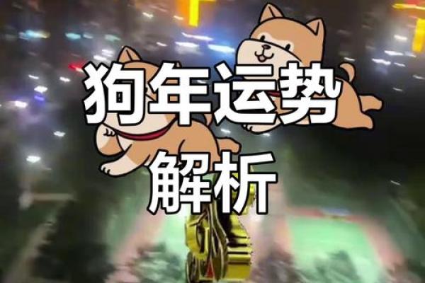 2025年属狗人运势详解财运事业感情全解析_1739572058 2025年属狗人运势详解财运事业感情全解析_1739572058