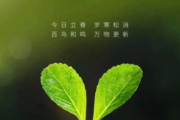 立春那天如何躲春 属相躲春怎么躲