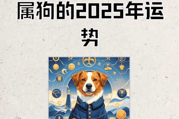 1970年属狗人2024年运势及运程_1982年2025年属狗人的全年运势