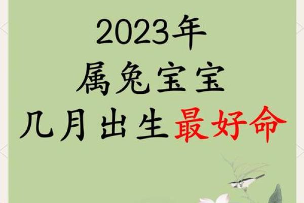 兔几点出生最好命运 最有福的出生时间