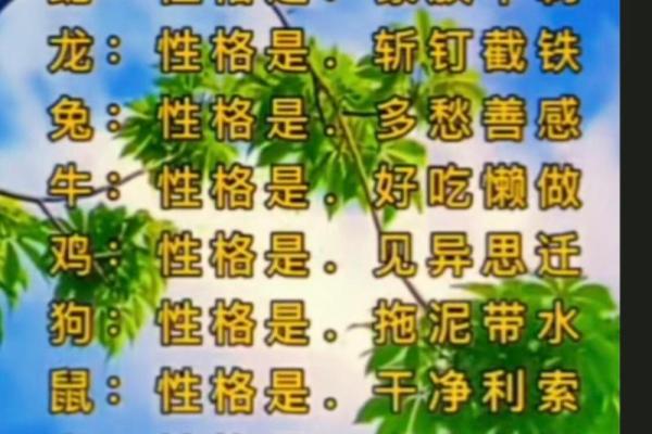 赤子望月是什么生肖