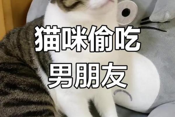 属狗女为什么有男友了还想去再勾搭一个