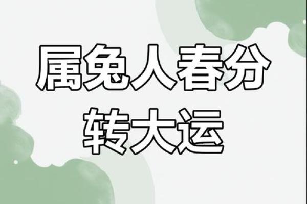 2025属兔人的运气和财运_2025年属兔人运势与财运全解析 2025属兔人的运气和财运_2025年属兔人运势与财运全解析