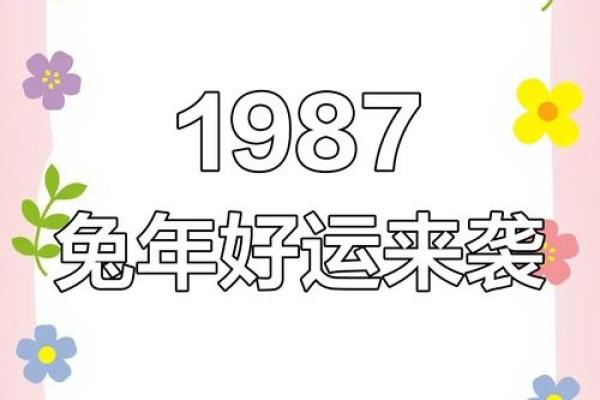 99年属兔到25岁的运势 99年属兔25岁运势解析未来一年运势如何
