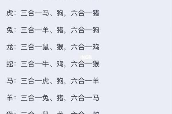 00年属龙者最佳婚配属相与出生月份全解析