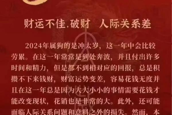 1994年出生的今年多大 属狗人2022年运势怎么样