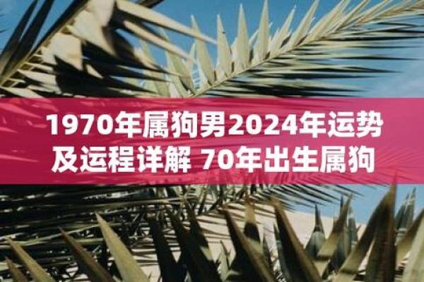 70年属狗2025年运势完整版_73年属牛2025年运势完整版 70年属狗2025年运势完整版_73年属牛2025年运势完整版