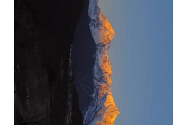 2021年入九是哪一天