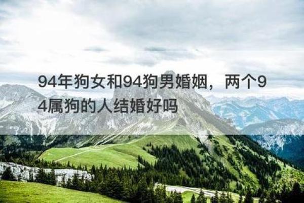 1994年属狗男2025年运势与婚姻解析 1994年属狗男2025年运势与婚姻解析