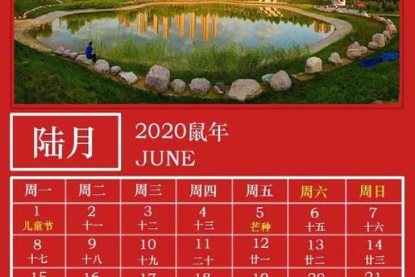 2020什么年