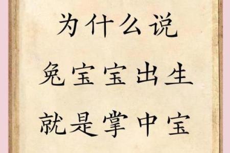 属马的2023年生兔宝宝好吗 几月出生最好