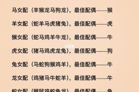 富甲天下是什么生肖