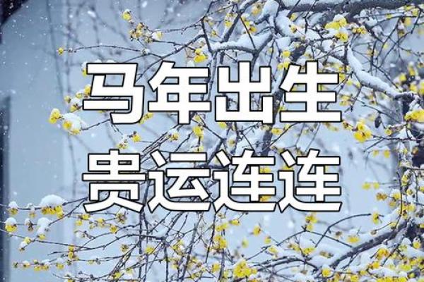 1978年属马2025年运势 1978年属马人2025年运势详解吉凶预测与运程指南