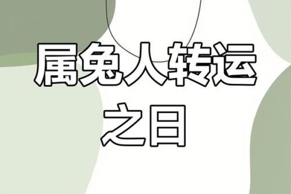 属兔2025年有大喜缠身_2025年属兔人运势大爆发喜事连连好运不断