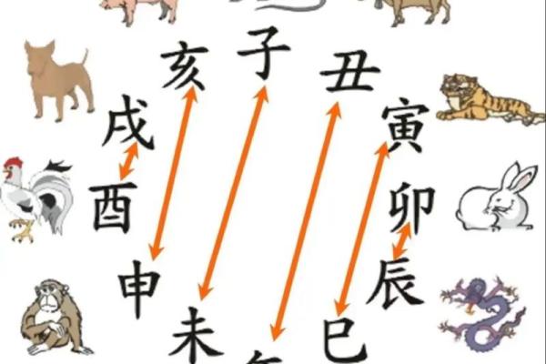 信口开河是什么生肖