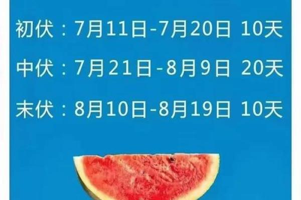 2021三伏天第一天是什么时候 今年入伏从哪一天开始算 2021三伏天第一天是什么时候 今年入伏从哪一天开始算