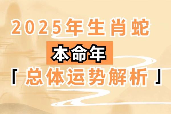 农历2025年属什么年 农历2025年属什么年