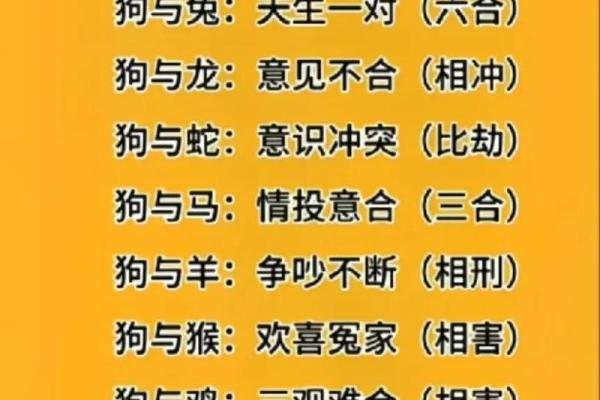 2022年40岁属什么生肖 虎年生肖狗的运程解析