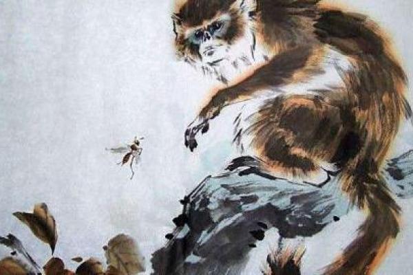 白头少年是什么生肖 白头少年是什么生肖