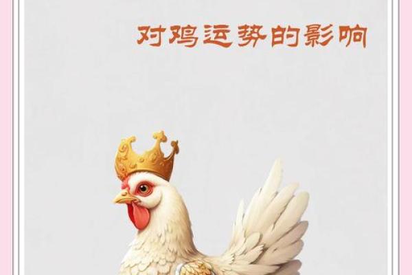 属鸡的今日运势最准 属鸡今日运势最准解析财运事业双丰收