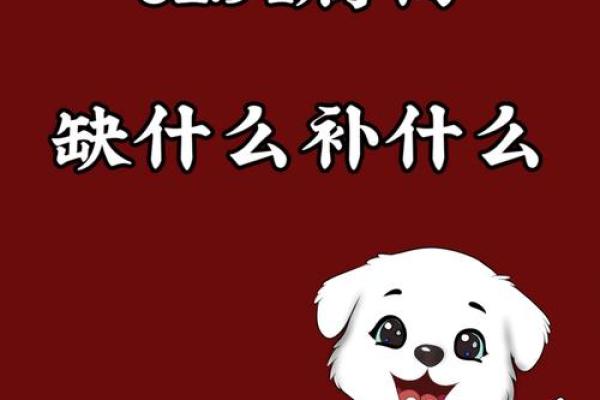 1994年属狗人2025年运势详解财运事业感情全解析 1994年属狗人2025年运势详解财运事业感情全解析
