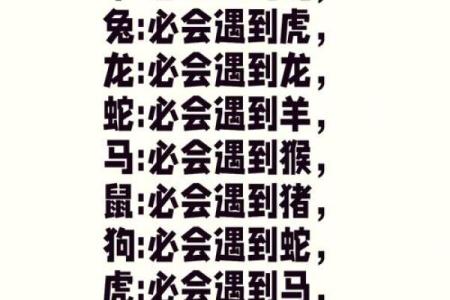 根壮叶茂是指什么生肖
