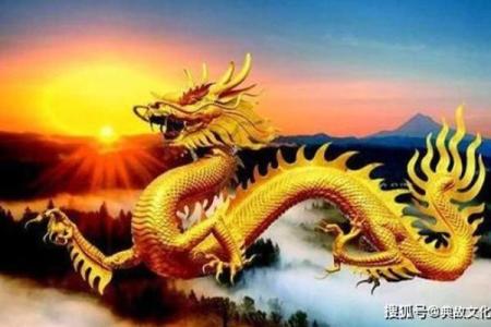 2025年属龙大忌颜色_属龙今年的幸运色是什么颜色