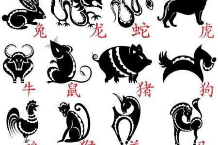 变化无方打一最佳生肖