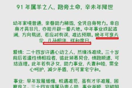 1991年属羊人2025年幸运色_1991年属羊人2025年幸运色揭秘提升运势的关键色彩