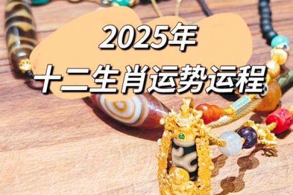 2025年属马女 2025年属马女全年运势解析事业财运感情全指南 2025年属马女 2025年属马女全年运势解析事业财运感情全指南